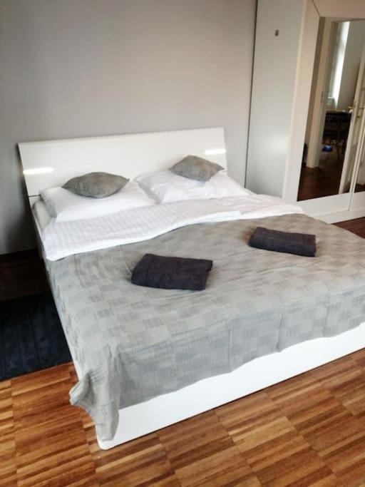 2 Bedrooms Close Vysehrad - Congress Centrum Praha